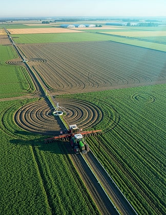 Agribusiness & Food Security